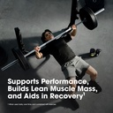 optimum-nutrition-creatine-monohydrate-p-81GyY1YZ2PL.jpg