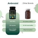 ambrosial-grape-seed-extract-capsules-95-61Xc1NAvzxL.jpg