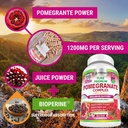premium-pomegranate-juice-powder-supplem-3.jpg