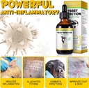 yeast-infection-treatment-for-dogs-dog-e-3.jpg