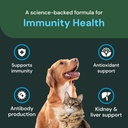 vetriscience-veterinary-strength-dmg-imm-4.jpg