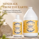 fulvic-minerals-trace-elements-vitamins--71G+l6D-ShL.jpg