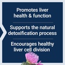 life-extension-european-milk-thistle-adv-71LcttDWTqL.jpg