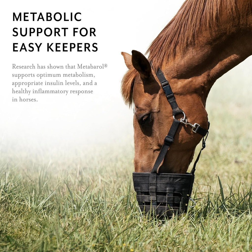 metabarol-horse-supplement-pellets-with--4.jpg