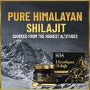 sesa-himalayan-shilajit-resin-20-g-shila-71L4NgoaQdL.jpg