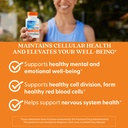 doctor-s-best-folate-supplement-400-mcg--712RdZPfHzL.jpg