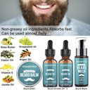 beard-kitbeard-grooming-kit-for-men-wstr-4.jpg