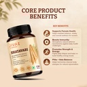 jiva-shatavari-tablets-500gm-100-pure-na-71MCnoM+rLL.jpg
