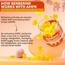 berberine-gummies-1000mg-for-women-men-l-81uJzgB2sGL.jpg