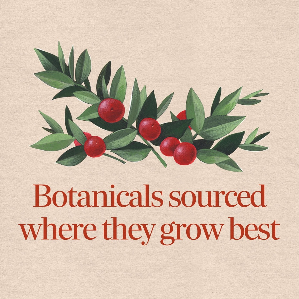 nature-s-way-butcher-s-broom-root-vegan--915BYtLWhZL.jpg