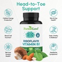 vitamin-b2-riboflavin-400mg-energy-skin--81OcZahuVmL.jpg