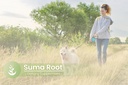 pure-original-ingredients-suma-root-100--5.jpg