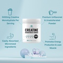 micronized-creatine-monohydrate-120-serv-81aih8GK+uL.jpg