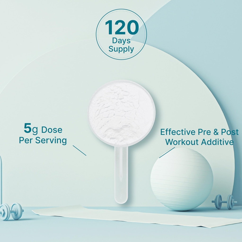 micronized-creatine-monohydrate-120-serv-71zAI7c4lSL.jpg