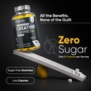 weightworld-sugar-free-creatine-monohydr-610Cooaa4mL.jpg