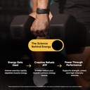 weightworld-sugar-free-creatine-monohydr-615tgn+vKwL.jpg
