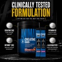 animal-creatine-monohydrate-hmb-for-men--71cogYqM-XL.jpg