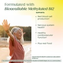 megafood-methyl-b12-cellular-energy-meta-710qDZaeXSL.jpg