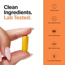 the-absorption-company-curcumin-turmeric-71YQuhuFqkL.jpg