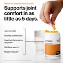 the-absorption-company-curcumin-turmeric-71UaxUSq7eL.jpg