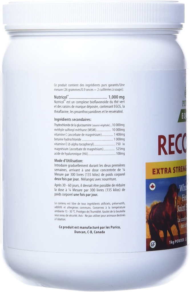 purica-equine-hyaluronic-acid---horse-jo-4.jpg