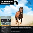 purica-equine-hyaluronic-acid---horse-jo-6.jpg
