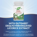 enzymatic-therapy-dgl-chewables-100-tabl-71IZI0N1K1L.jpg