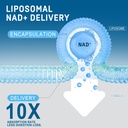 liposomal-nad-supplement-2150mg-with-res-71BY0nhim4L.jpg