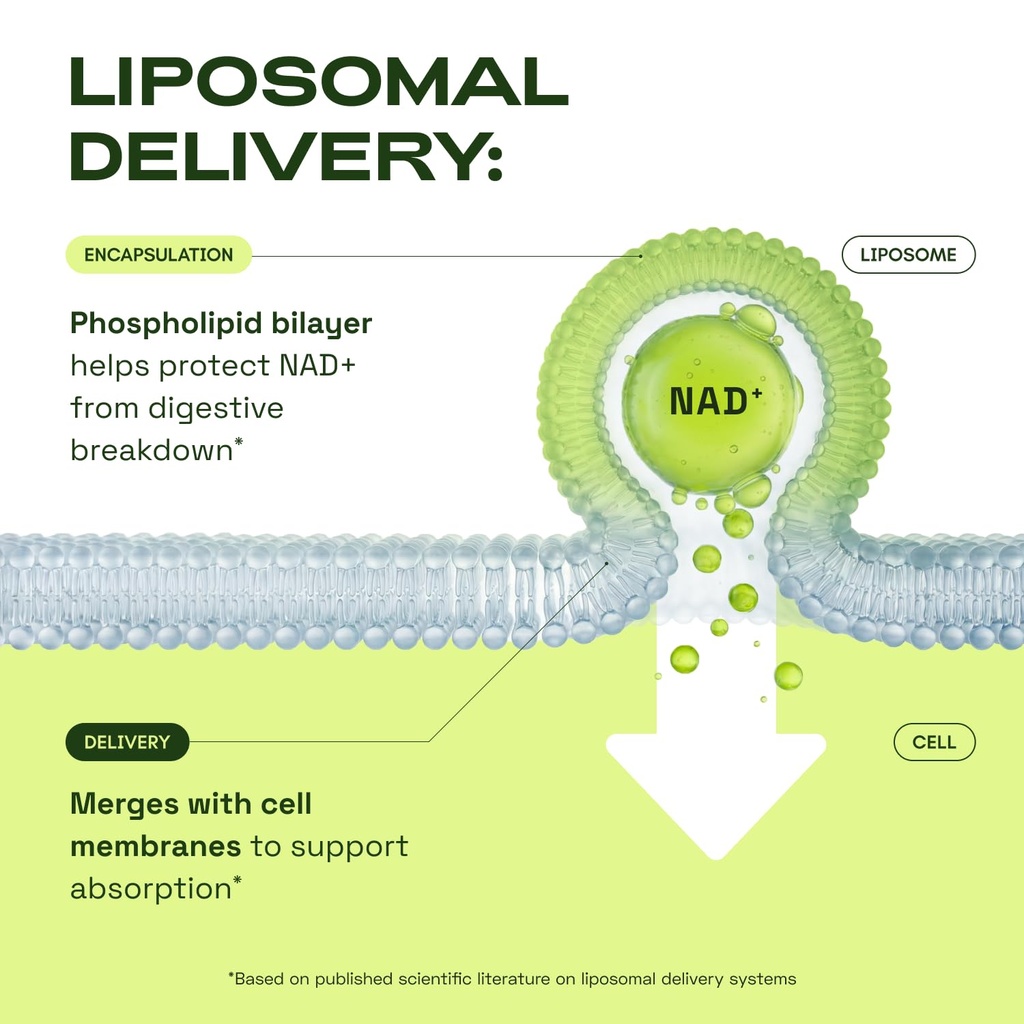 cata-kor-liposomal-nad-resveratrol-suppl-61uUpTzJ-vL.jpg