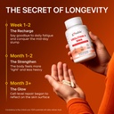 gynable-urolithin-a-supplement-with-nmn--71gJJ5EaQRL.jpg