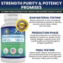 genex-formulas-nicotinamide-500mg-vitami-713oyo8zSbL.jpg