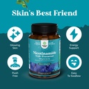 nicotinamide-500mg-niacinamide-500mg-vit-61pALmJwcvL.jpg