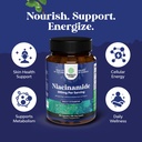 niacinimide-500mg-capsules-vitamin-b3-ni-71fsQsf519L.jpg