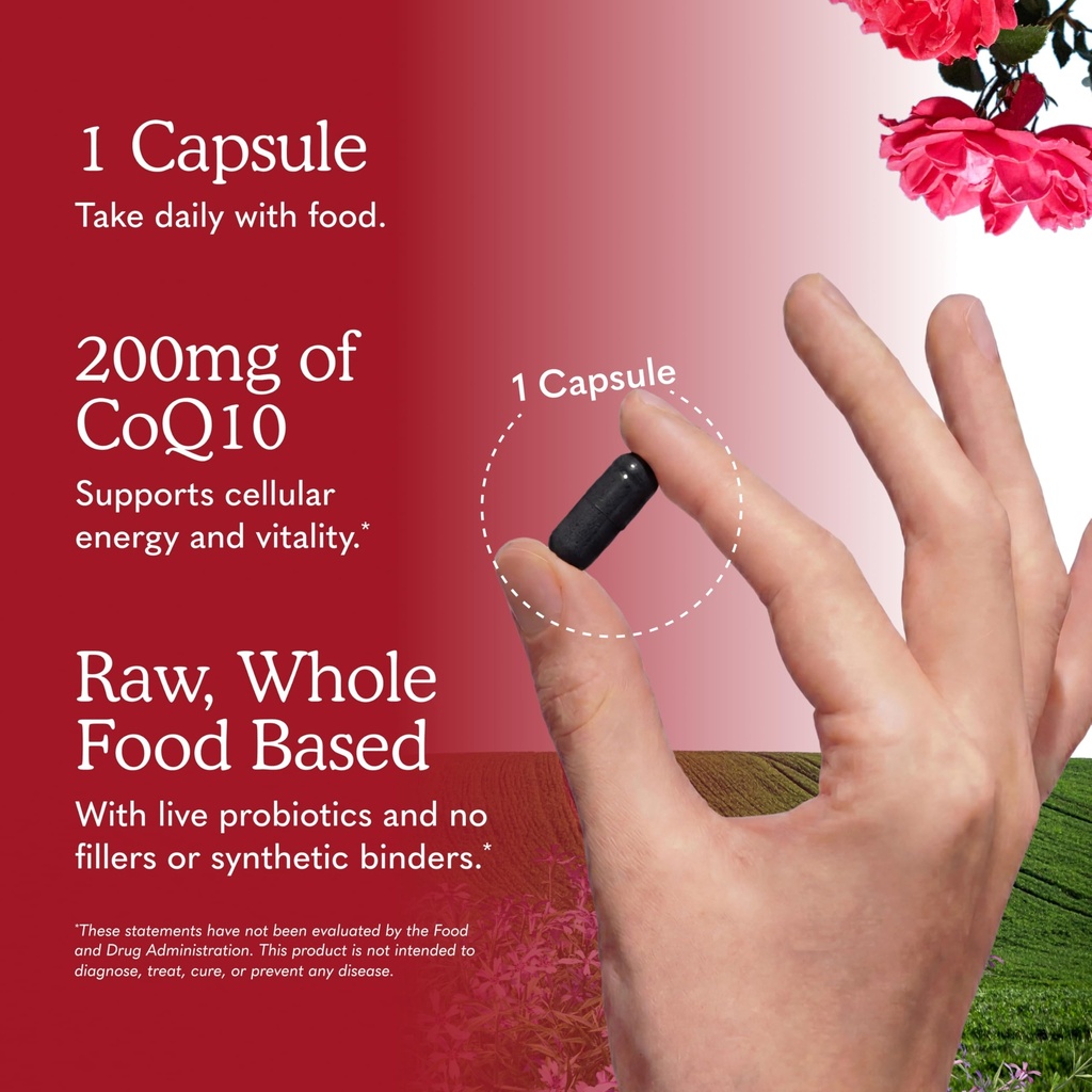garden-of-life-raw-coq10-200mg-with-omeg-81uCpB0TcaL.jpg