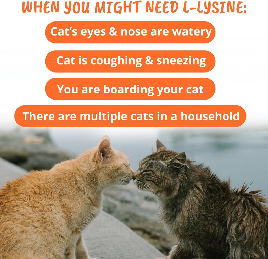 under-the-weather-pet-daily-cat-l-lysine-5.jpg