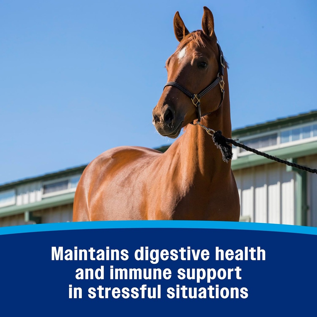 farnam-probiotic-powder-for-horses-daily-4.jpg