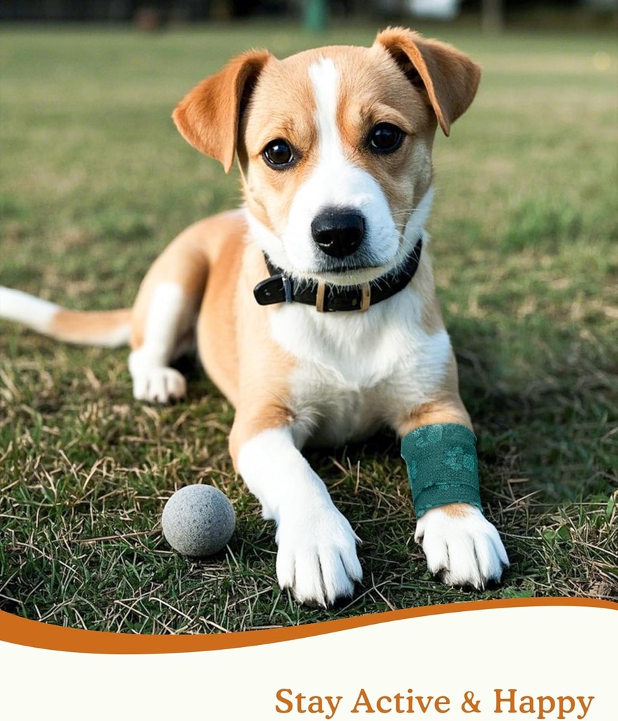 self-adhesive-bandage-wrap---vet-wrap-fo-3.jpg