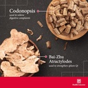 health-concerns-shen-ling-digestive-supp-3.jpg