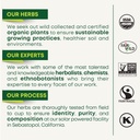 traditional-medicinals-organic-nettle-le-6.jpg