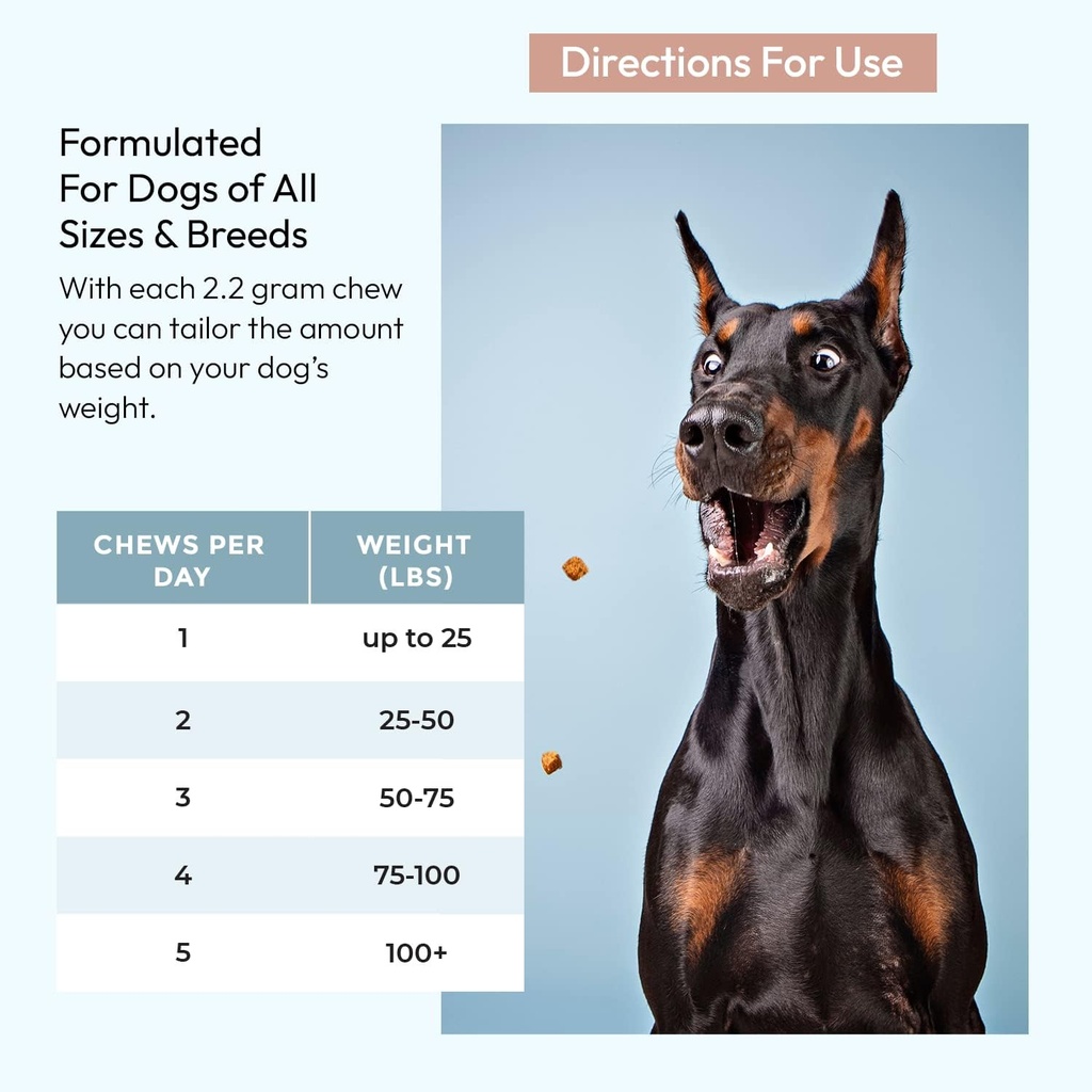 gnawty-bites-omega-shine-dog-skin-and-co-6.jpg