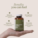 offernova-calm-repair-duo-collagen-ultra-3.jpg