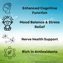 organic-lions-mane-mushroom-capsules---1-6.jpg