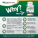 vibraxlabs-spirulina-capsules-100-pure-1-6.jpg