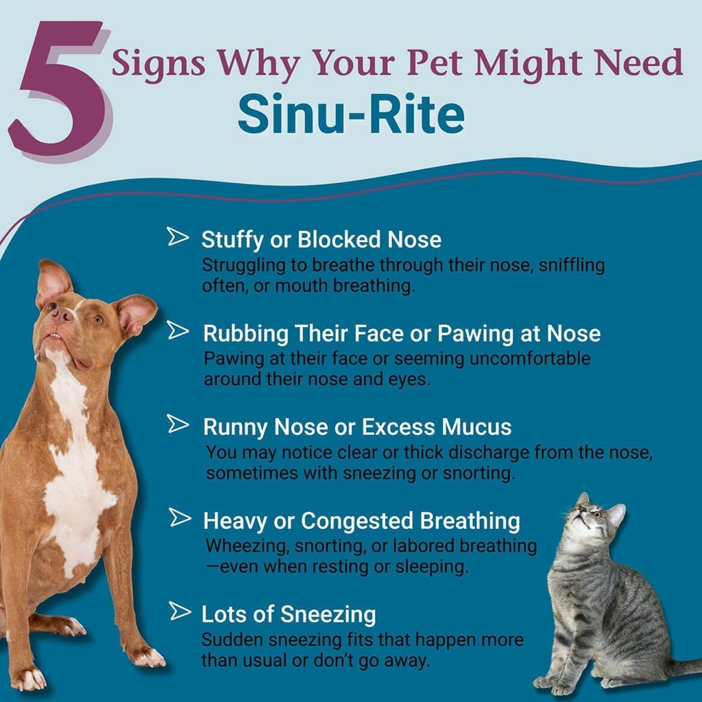 petalive-sinu-rite-cat-and-dog-nasal-con-2.jpg