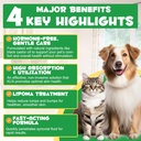 lipoma-treatment-targets-guard-for-dogs--4.jpg