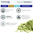superior-labs-hawthorn-berry-300mg-pure--5.jpg