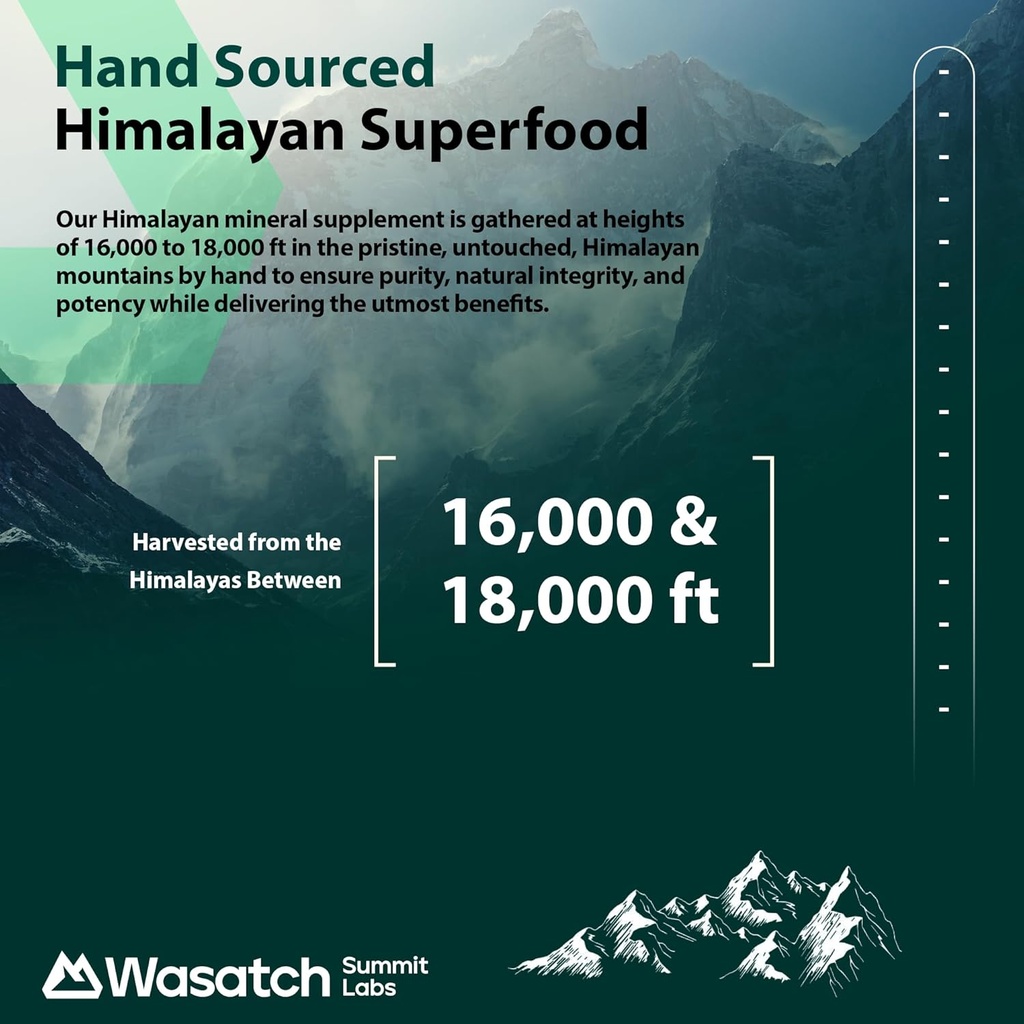 pure-organic-shilajit-resin-authentic-hi-6.jpg