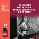 bundle-of-natural-pre-workout-forskolin--4.jpg