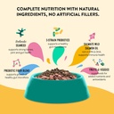 daily-wellness-supplements-for-dogs-prob-3.jpg