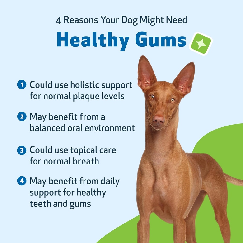 pet-wellbeing-healthy-gums-for-dogs---gu-3.jpg